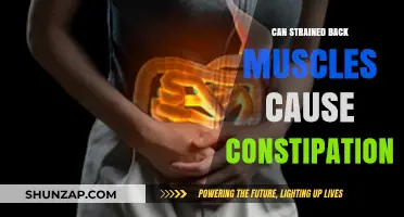 Strained Back Muscles and Constipation: Understanding the Surprising Connection