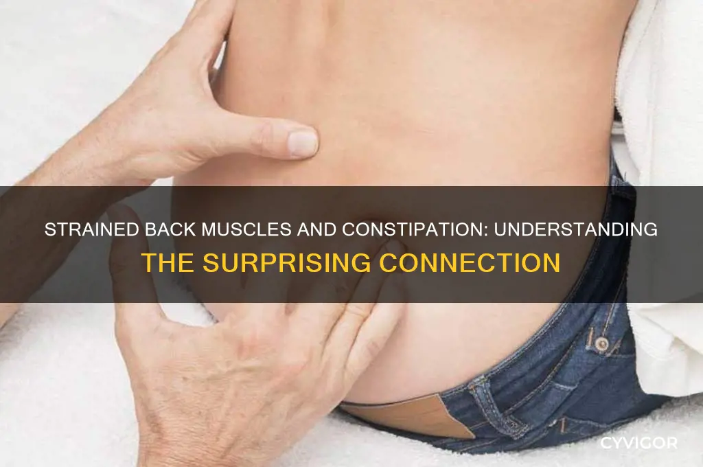 can strained back muscles cause constipation