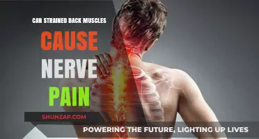 Strained Back Muscles and Nerve Pain: Understanding the Connection