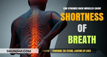 Strained Back Muscles and Breathing: Unraveling the Connection to Shortness of Breath