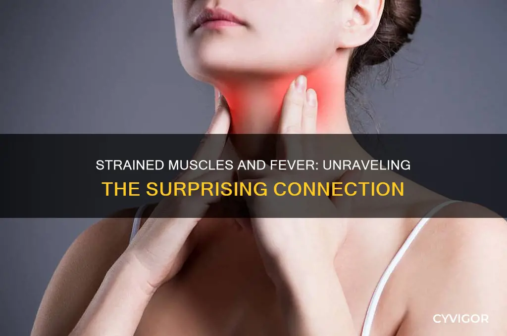 can strained muscles cause fever