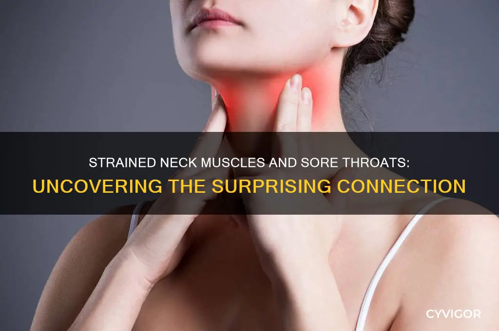 can strained neck muscles cause sore throat