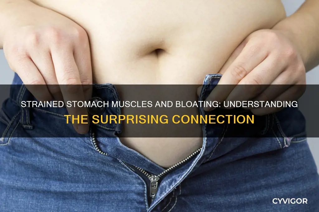 can strained stomach muscles cause bloating