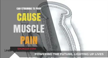 Straining to Poop: Understanding Its Link to Muscle Pain and Relief