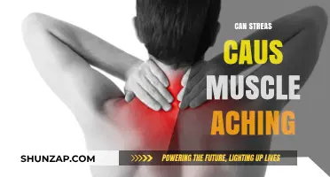 Stress and Muscle Pain: Unraveling the Mind-Body Connection