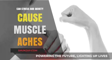 Stress, Anxiety, and Muscle Pain: Unraveling the Mind-Body Connection