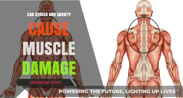Stress, Anxiety, and Muscle Health: Unraveling the Mind-Body Connection