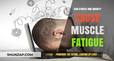 Stress, Anxiety, and Muscle Fatigue: Unraveling the Mind-Body Connection