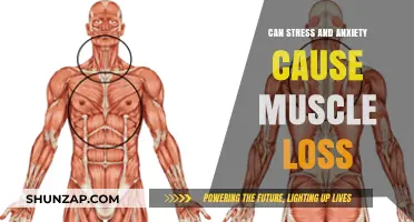 Stress, Anxiety, and Muscle Loss: Unraveling the Mind-Body Connection