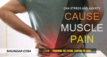 Stress, Anxiety, and Muscle Pain: What's the Link?