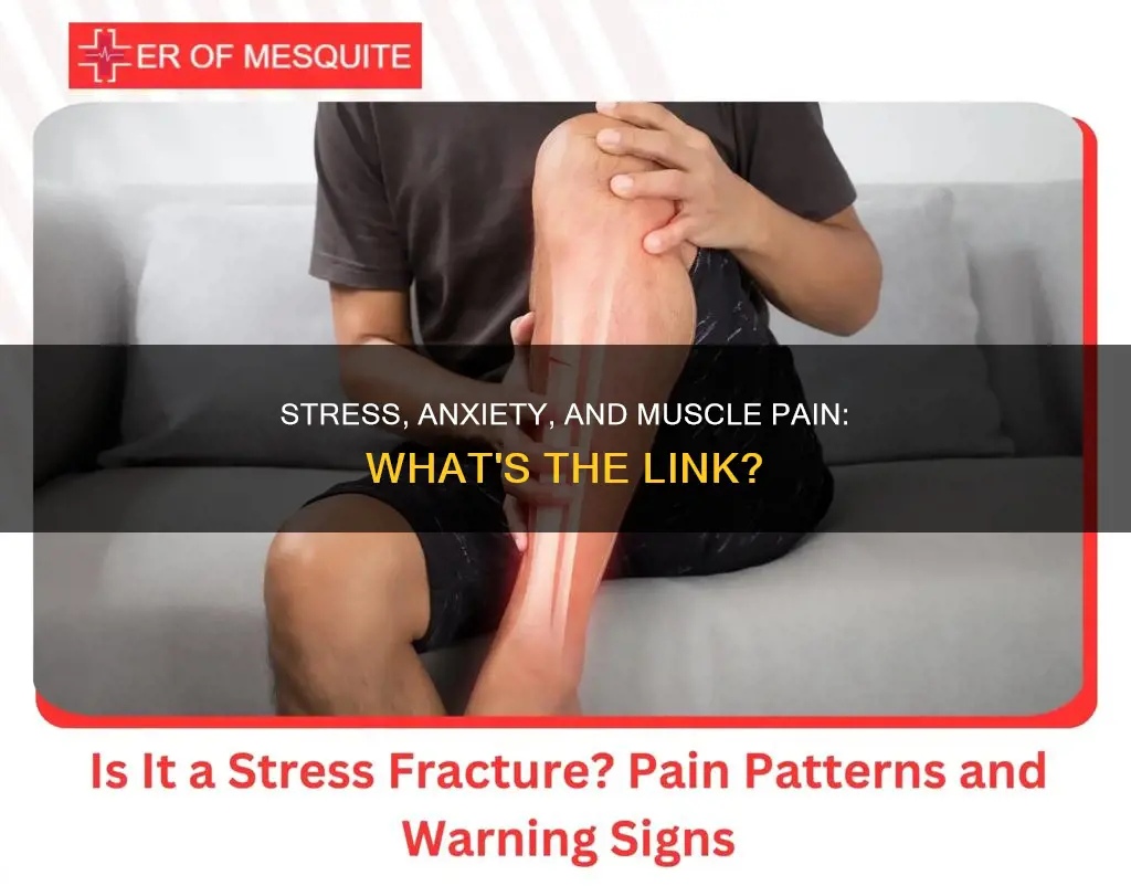 can stress and anxiety cause muscle pain
