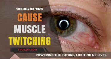 Stress, Fatigue, and Muscle Twitching: Unraveling the Mind-Body Connection