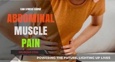 Stress and Stomach Aches: Understanding Abdominal Muscle Pain Causes