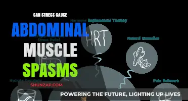 Stress and Stomach Tension: Unraveling Abdominal Muscle Spasms Causes