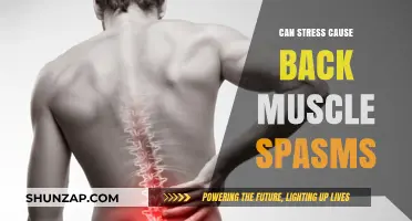 Stress and Back Pain: Unraveling the Link to Muscle Spasms