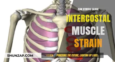 Stress and Intercostal Muscle Strain: Unraveling the Connection