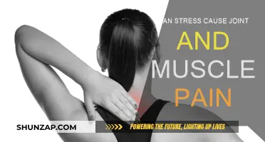 Stress and Body Pain: Is There a Link?