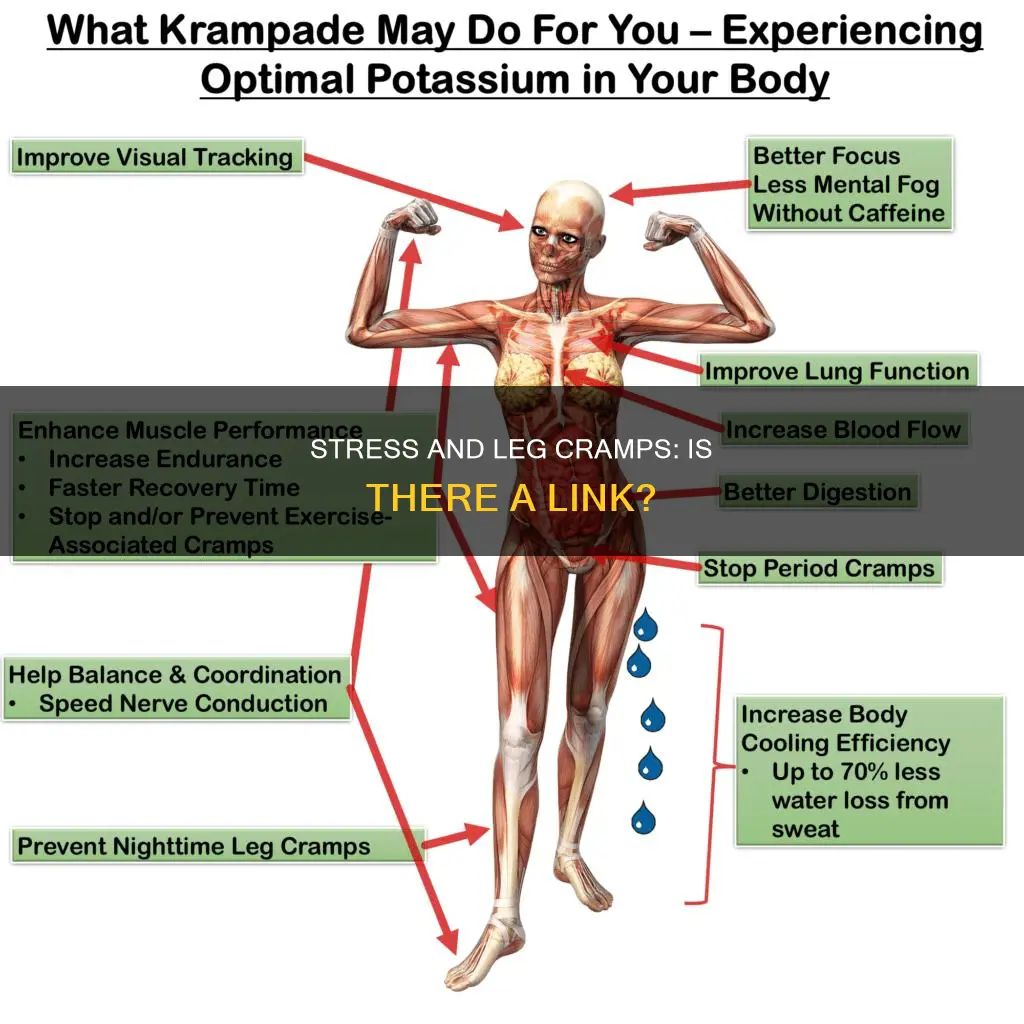 can stress cause leg cramps at night