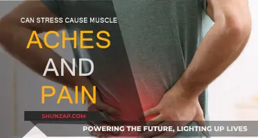 Stress and Muscle Pain: What's the Link?