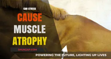 Stress and Muscle Atrophy: Unraveling the Connection to Physical Decline