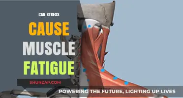 Stress and Muscle Fatigue: Unraveling the Mind-Body Connection