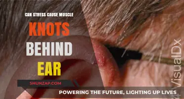 Stress and Ear Muscle Knots: Unraveling the Hidden Connection