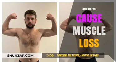 Stress and Muscle Loss: Unraveling the Surprising Connection