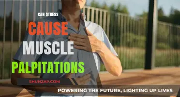 Stress and Muscle Palpitations: Understanding the Surprising Connection