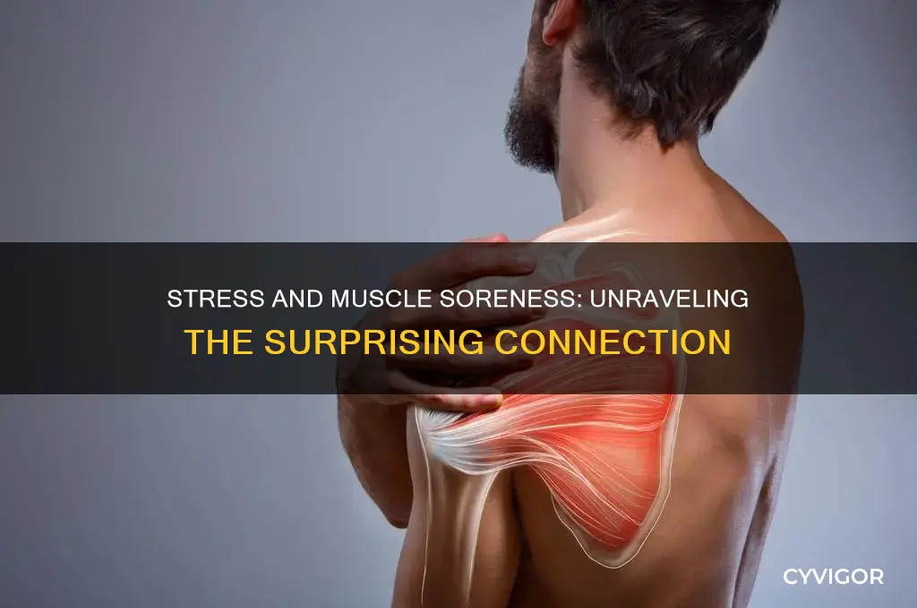can stress cause muscle soreness