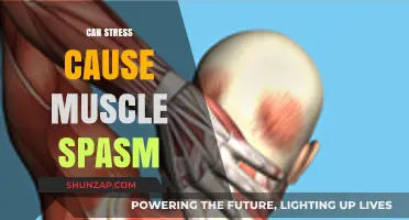 Stress and Muscle Spasms: Unraveling the Mind-Body Connection