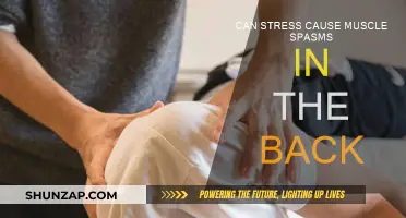 Stress-Related Back Muscle Spasms: What's the Link?