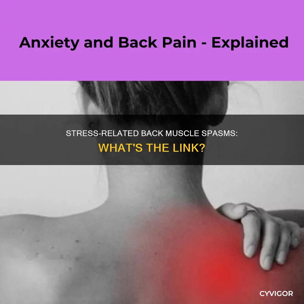 can stress cause muscle spasms in the back