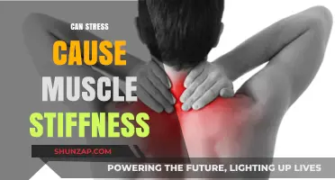 Stress and Stiff Muscles: Unraveling the Mind-Body Connection