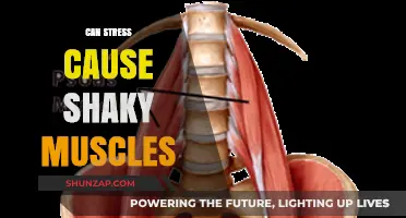 Can Stress Cause Shaky Muscles? Understanding the Mind-Body Connection