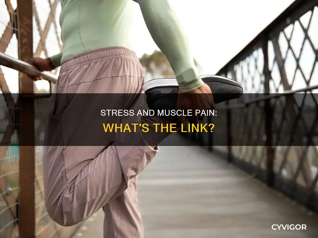 can stress cause sore muscles