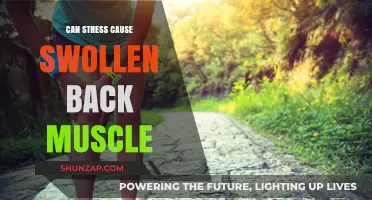 Stress and Swollen Back Muscles: What's the Link?