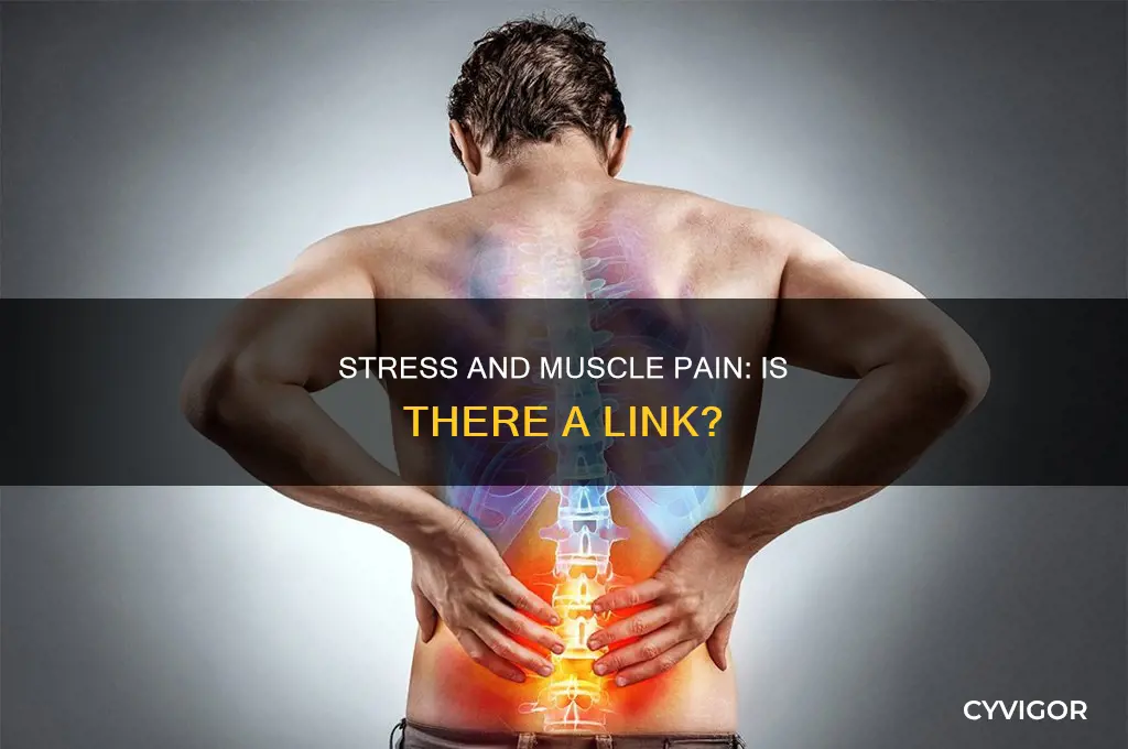 can stress cause systemic muscle pain