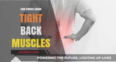 Stress and Back Pain: Understanding the Connection