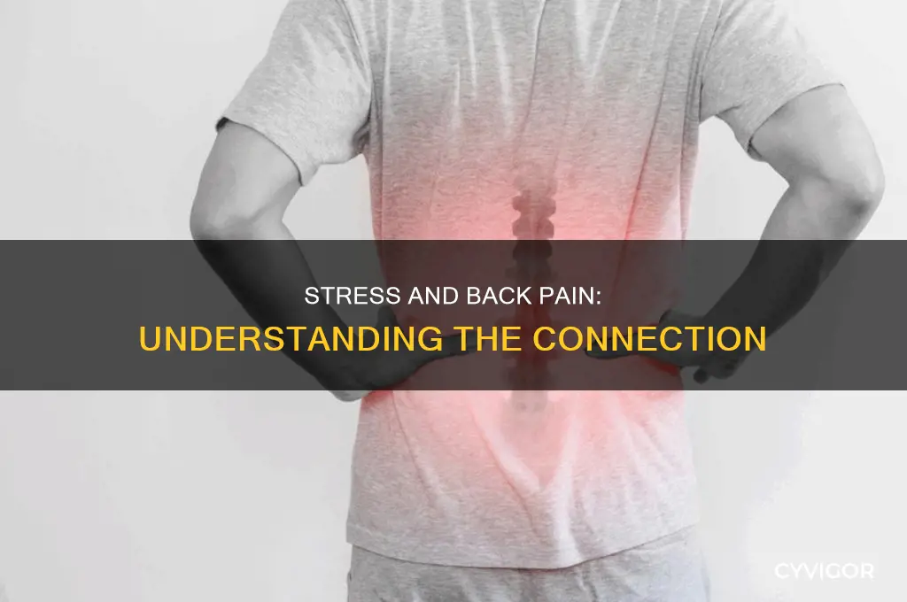 can stress cause tight back muscles