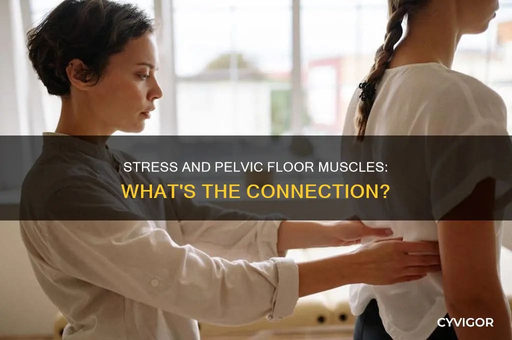 can stress cause tight pelvic floor muscles