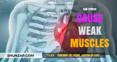 Stress and Muscle Weakness: Is There a Link?