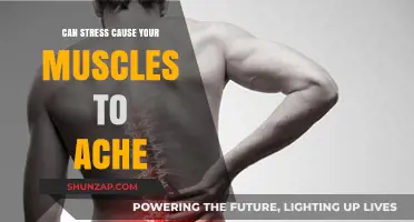 Stress and Muscle Aches: What's the Connection?