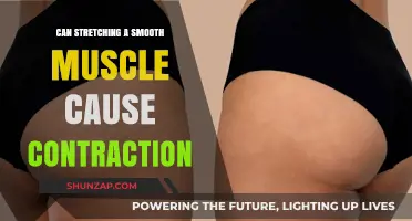 Stretching Smooth Muscles: What's the Contraction Connection?