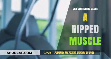 Stretching Risks: Can It Cause Muscle Tears?