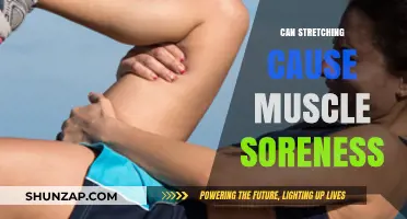 Stretching and Muscle Soreness: What's the Connection?