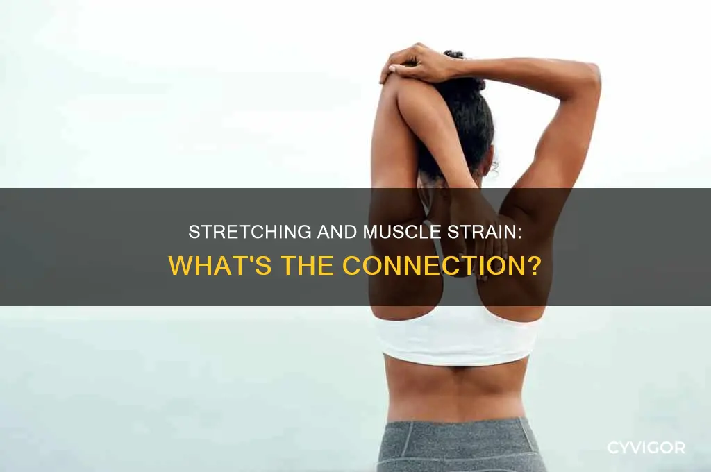 can stretching cause muscle strain
