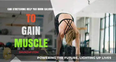 Stretching for Calorie Burn: Can It Boost Muscle Growth?