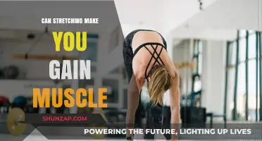 Stretching and Muscle Growth: Can Flexibility Build Strength?