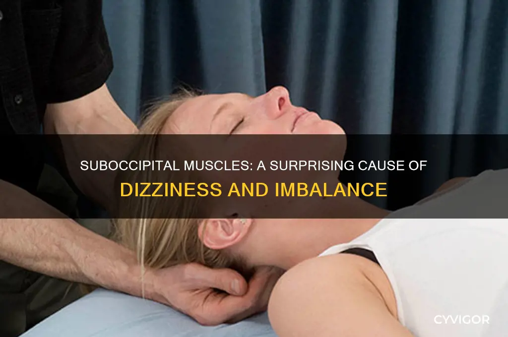 can suboccipital muscle cause dizziness