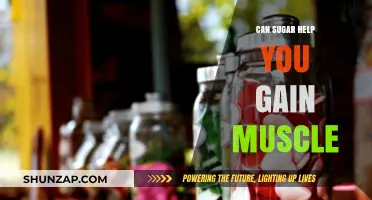 Sugar's Role in Muscle Gain: Fact or Fitness Myth?